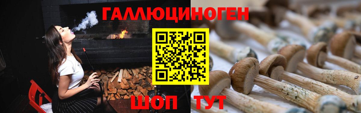 Владивосток  Галлюциногенные грибы мицелий  как найти   Вход с VPN 